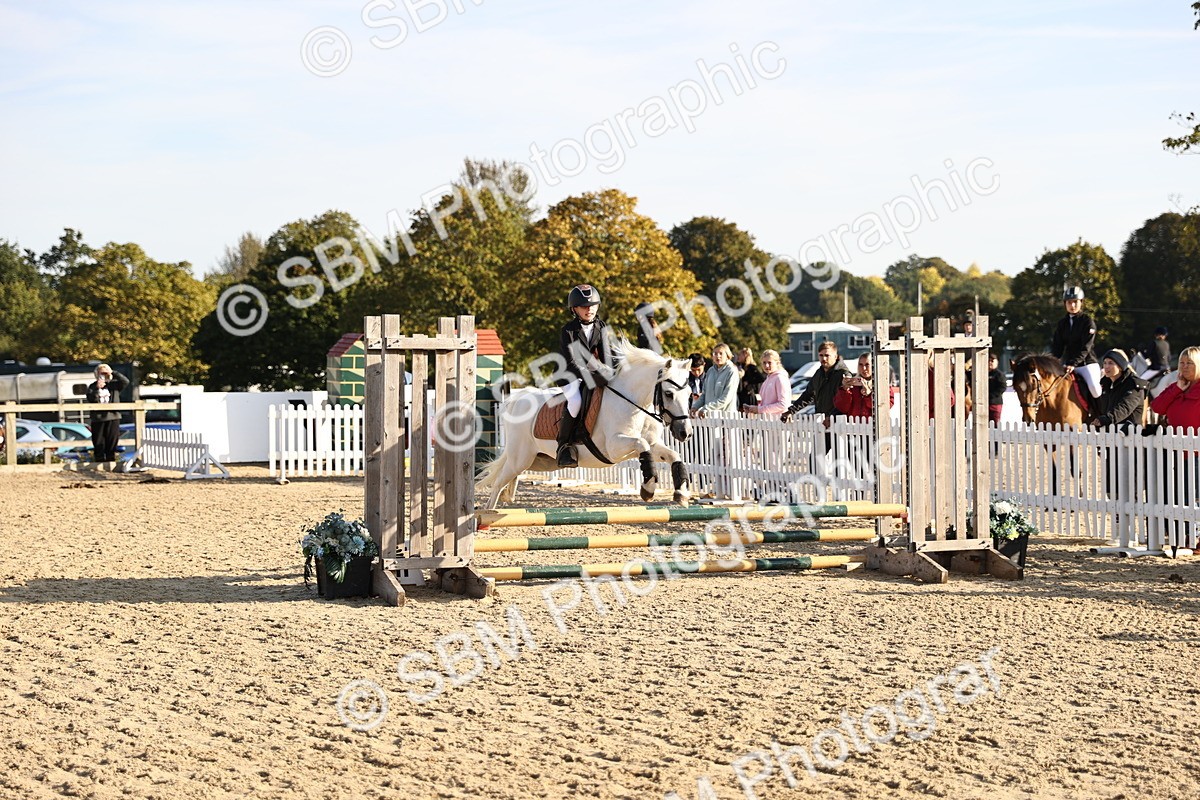 SBM_59512 - J11 - Junior Pony 50cm Championship