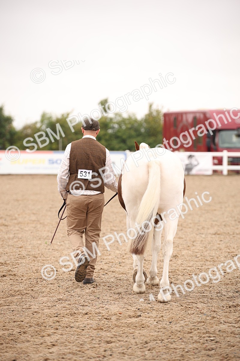 SBM_22138 - Class 707 - Ridden Groom-Helpers Class