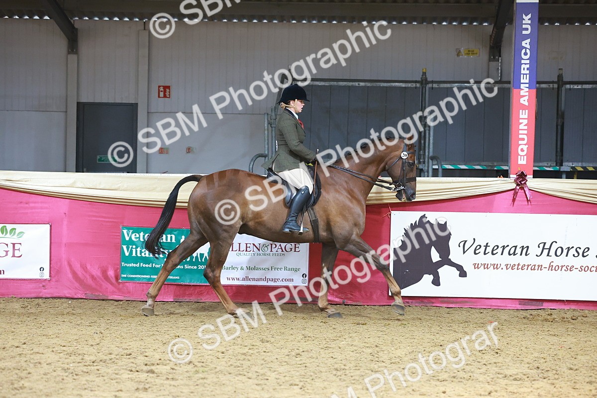 SBM_12737 - HOYS Veteran Qualifier - Ridden Champ