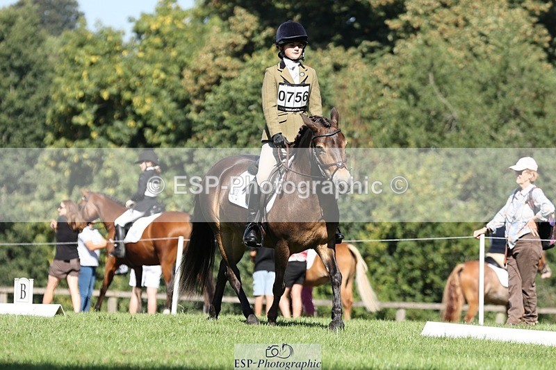 250823A-102955-27712 - Arena D