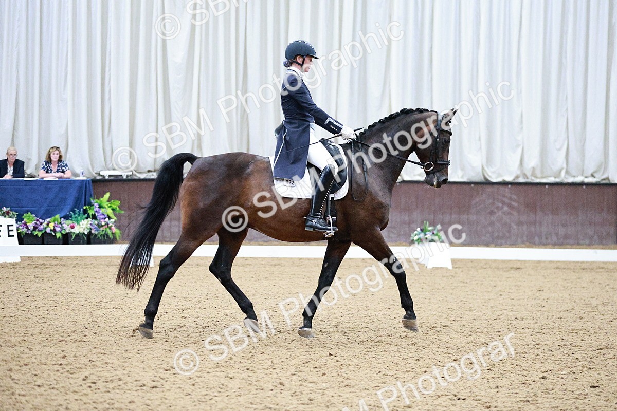 SBM_020568 - Class 13 - FEI INT I - 15.30-16.00