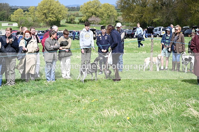 WJ6_8373 - Class 4 Prettiest Bitch