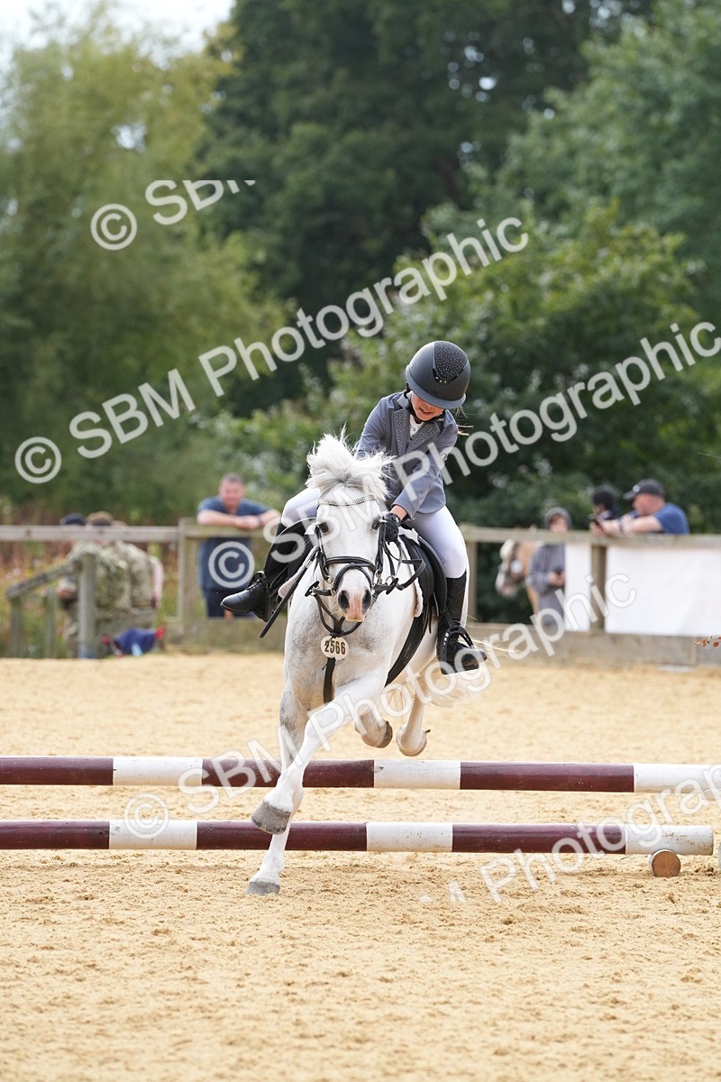 SBM_70648 - J3 - Mini Tour Junior Pony 40cm Championship