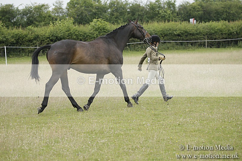 B230619-0781 - Bourne Valley Riding Club Summer Show 23/06/19
