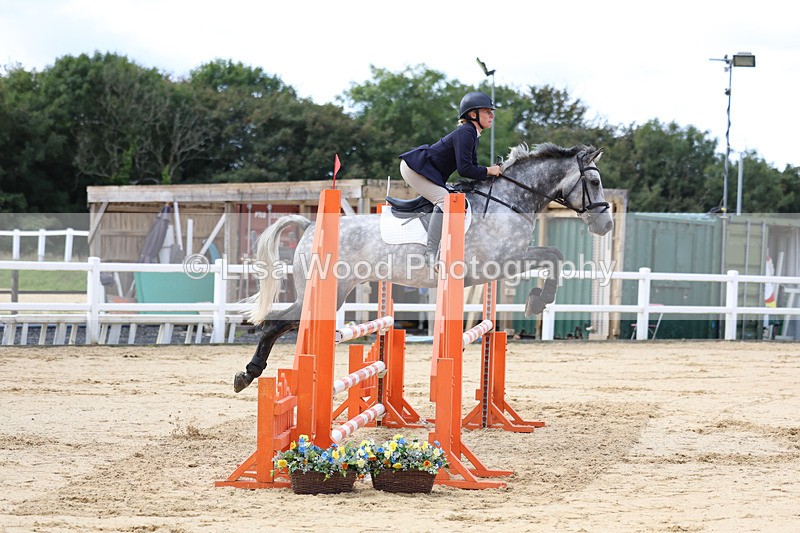 3E7A2046 - Class 4: Senior British Novice/90cm open