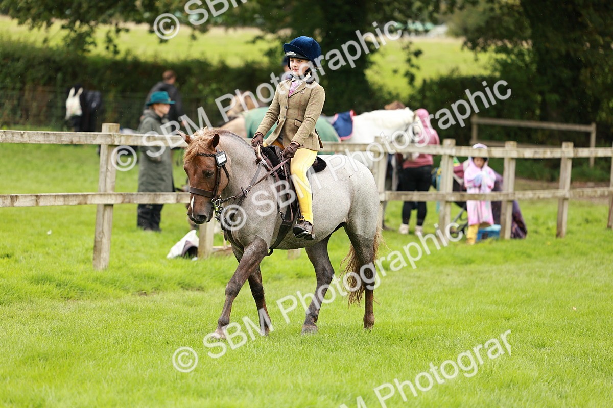 SBM_41810 - S32 - Mountain & Moorland Working Hunter Pony
