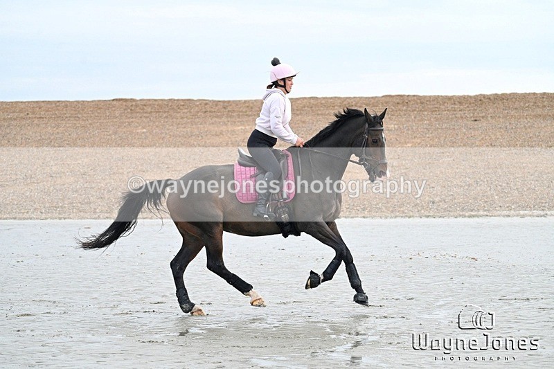WJ7_9329 - Hayling Island Beach Shoot 22-09-24