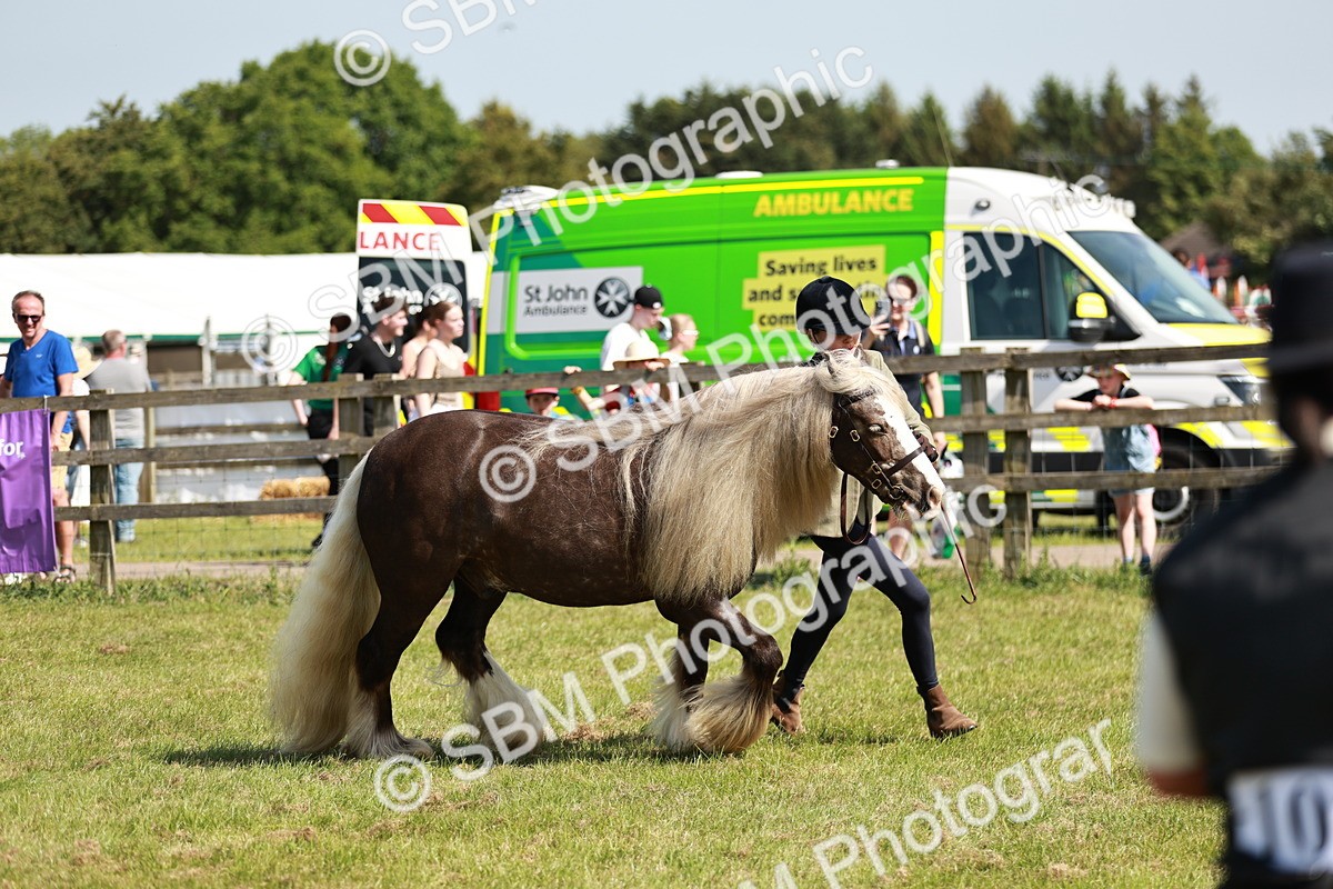 SBM_08818 - Class 63-65 - Traditional Gypsy Cobs In Hand & Ridden