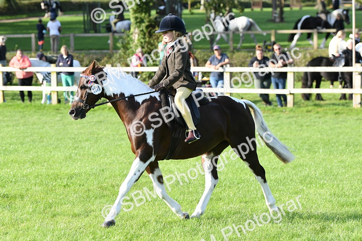 SBM_52409 - S22 - 1st Ridden Show & Show Hunter Pony