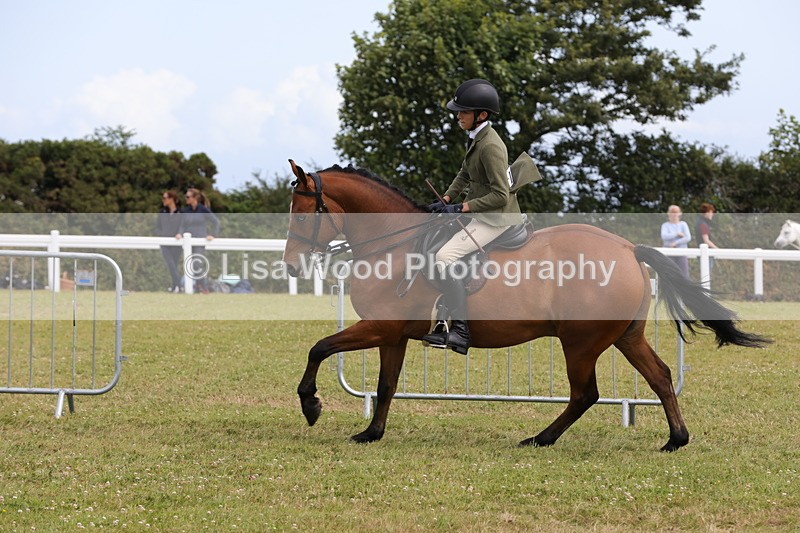 1X9A4057 - Class 32: Show Hunter Pony 153cm and under