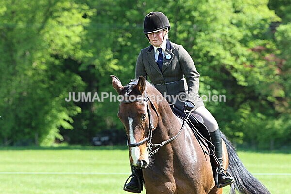 IMG_4647 - Working Hunter
