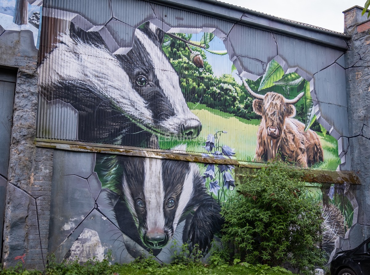 Glasgow Mural Trail - Mural Trail Images
