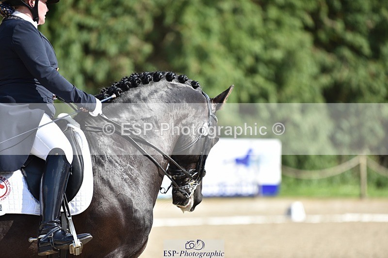 240605-163308-01412 - Cls 11-13 FEI PSG and Inter