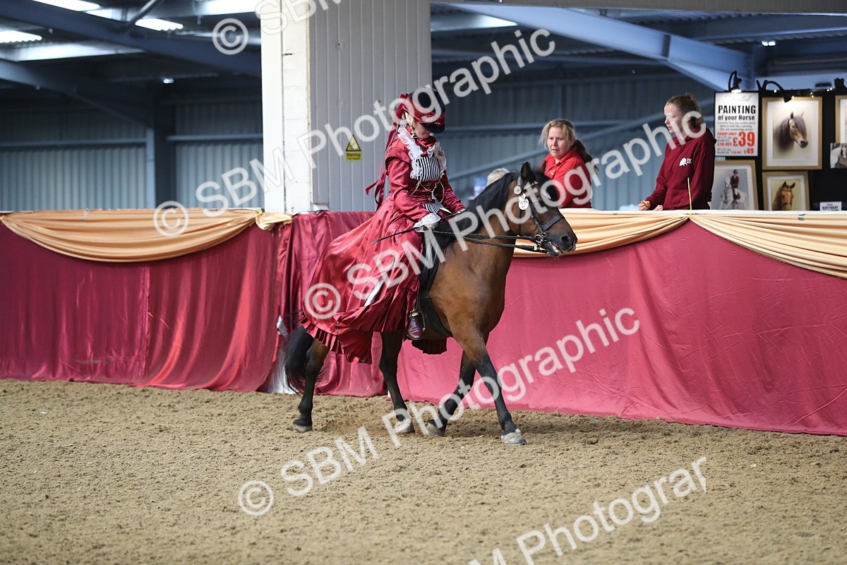 SBM_11214 - Class 104 Ridden Costume - Astride Junior