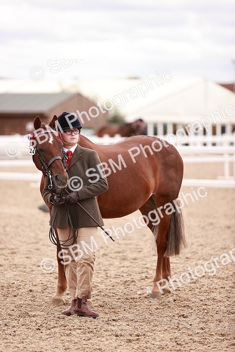 SBM_16358 - Class 413 - Best Condition - Adult