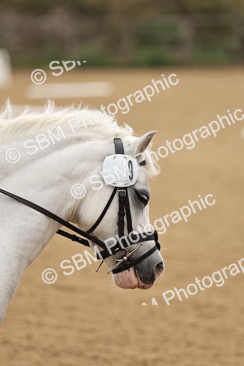 SBM_002106 - Intro 1-2