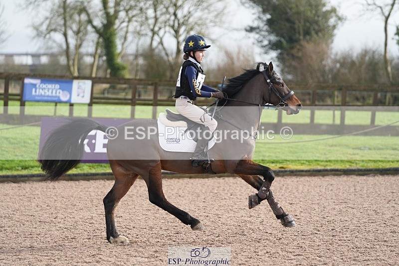 260131PC-115807-01686 - Cls 2 80cm