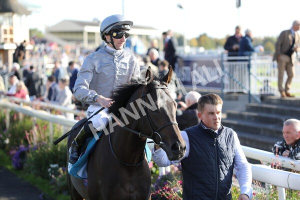 yr08102022r5-19 - Race 5 3.50pm The Coral Committed To Safer Gambling EBFStallions.com Maiden Stakes