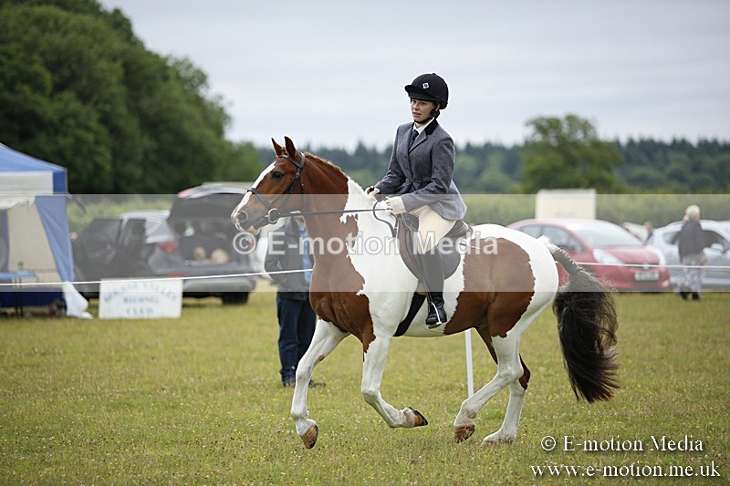 BVR160717-66 - Ring 1 BVRC Show 16/07/17