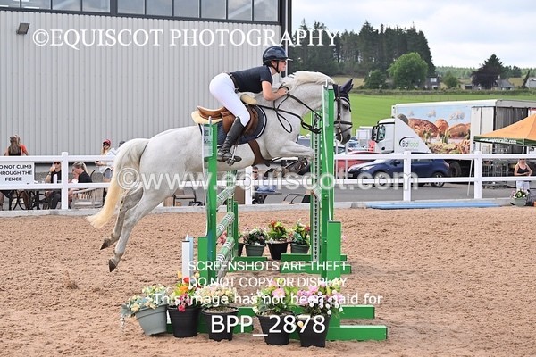 BPP_2878 - FRI CLASS 17 Pony Newcomers/1m Open