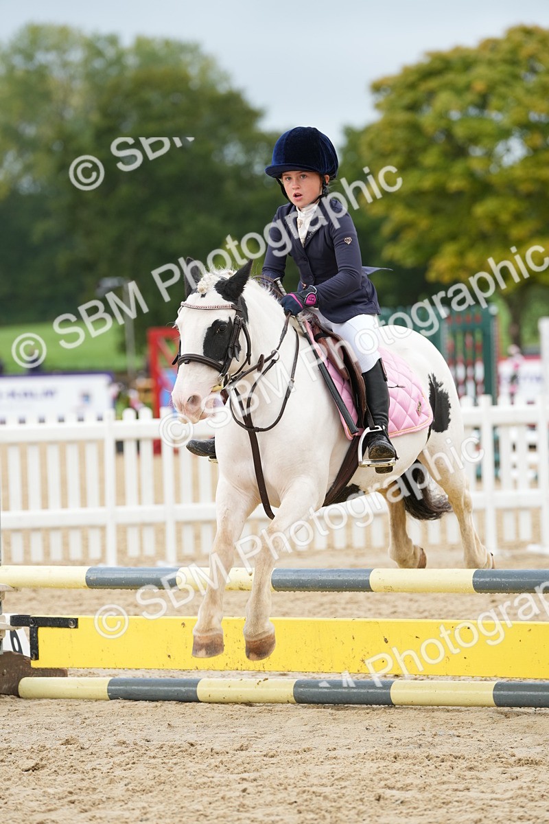 SBM_32473 - J5 - Junior Pony 50cm Championship