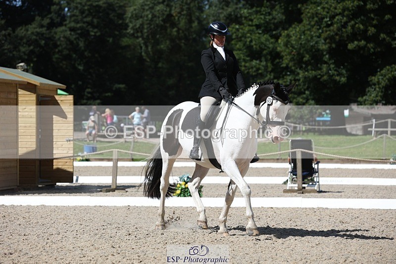 230811-113636-00875 - Cls 1 Prelim Bronze 11.10 to 12.35 break