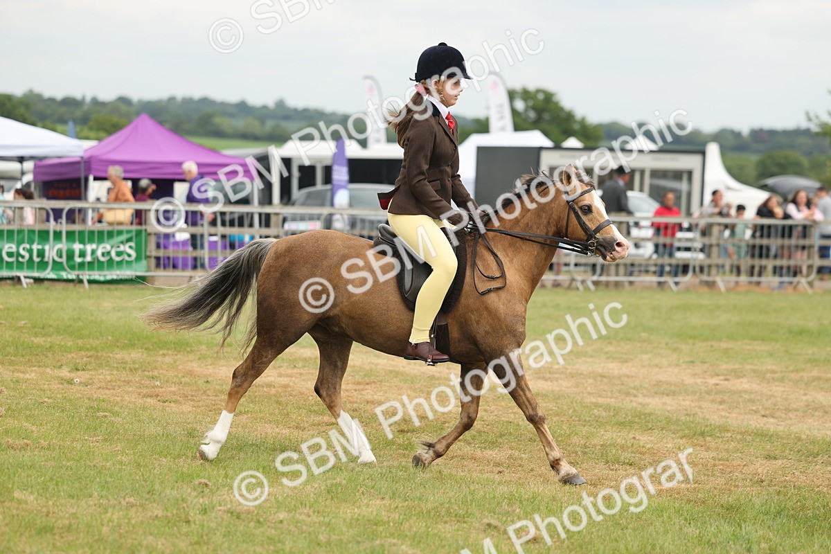 SBM_07104 - Class 76-77 - Ridden M&M Welsh Ponies