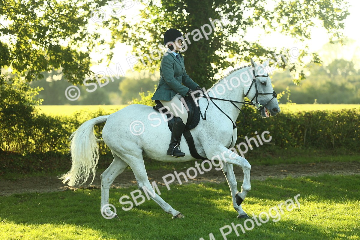 SBM_56410 - S14 - Riding Club Horse