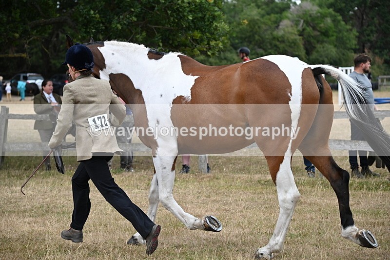 WJ6_8152 - Class 10 Coloured in Hand