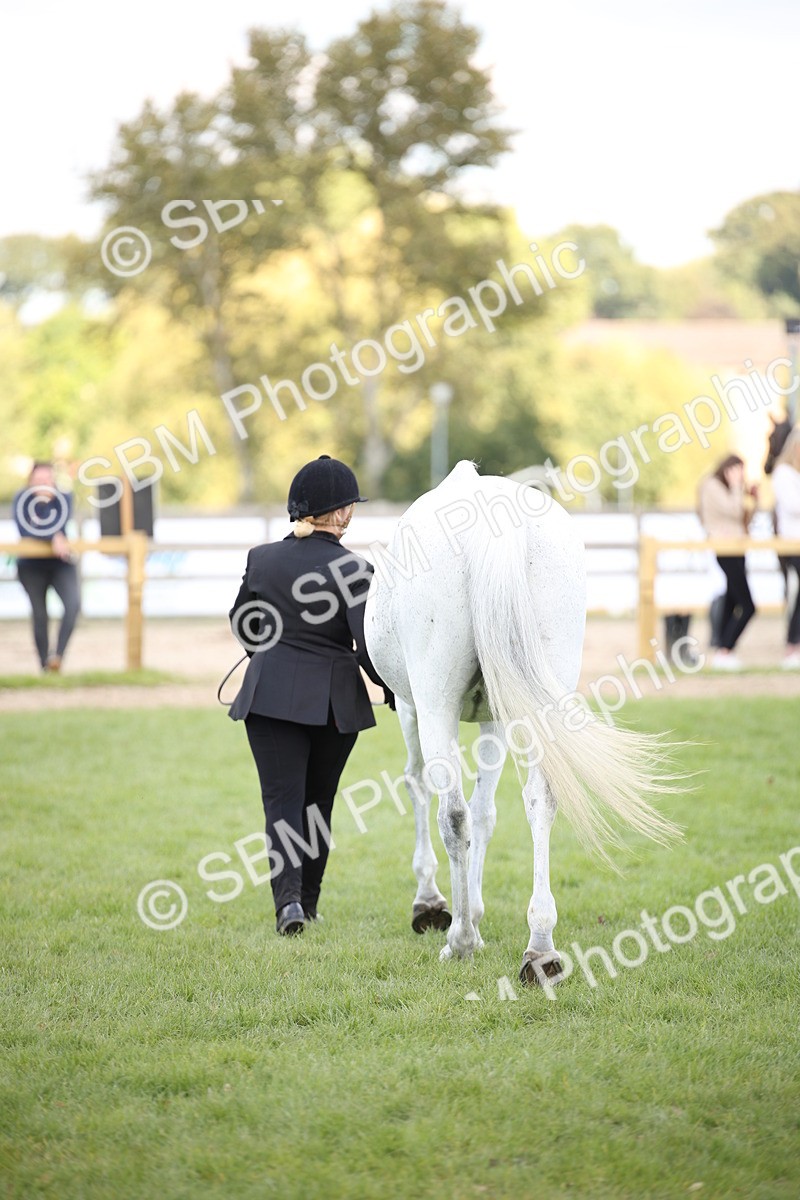 SBM_44423 - S24 - Young Veteran in hand