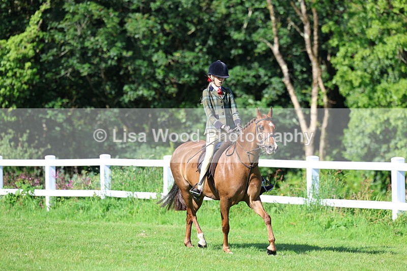 3E7A5960 - Class 27: Novice Working Hunter Pony