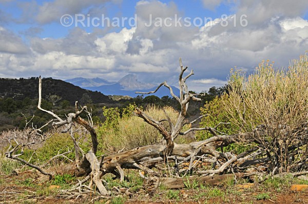Photo #390a - Mesa Verde National Park