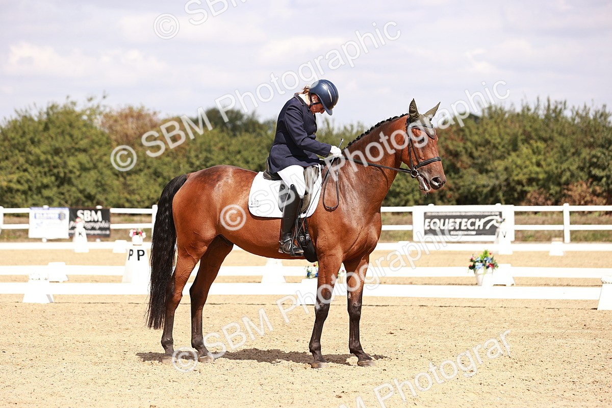 SBM_018508 - Class 17 - Novice 6