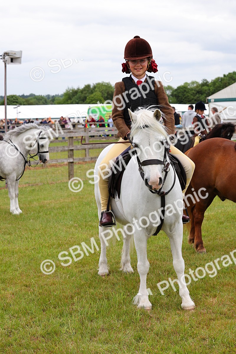 SBM_08841 - Class 42-43 - LIHS BSPS Heritage Working Sports Pony