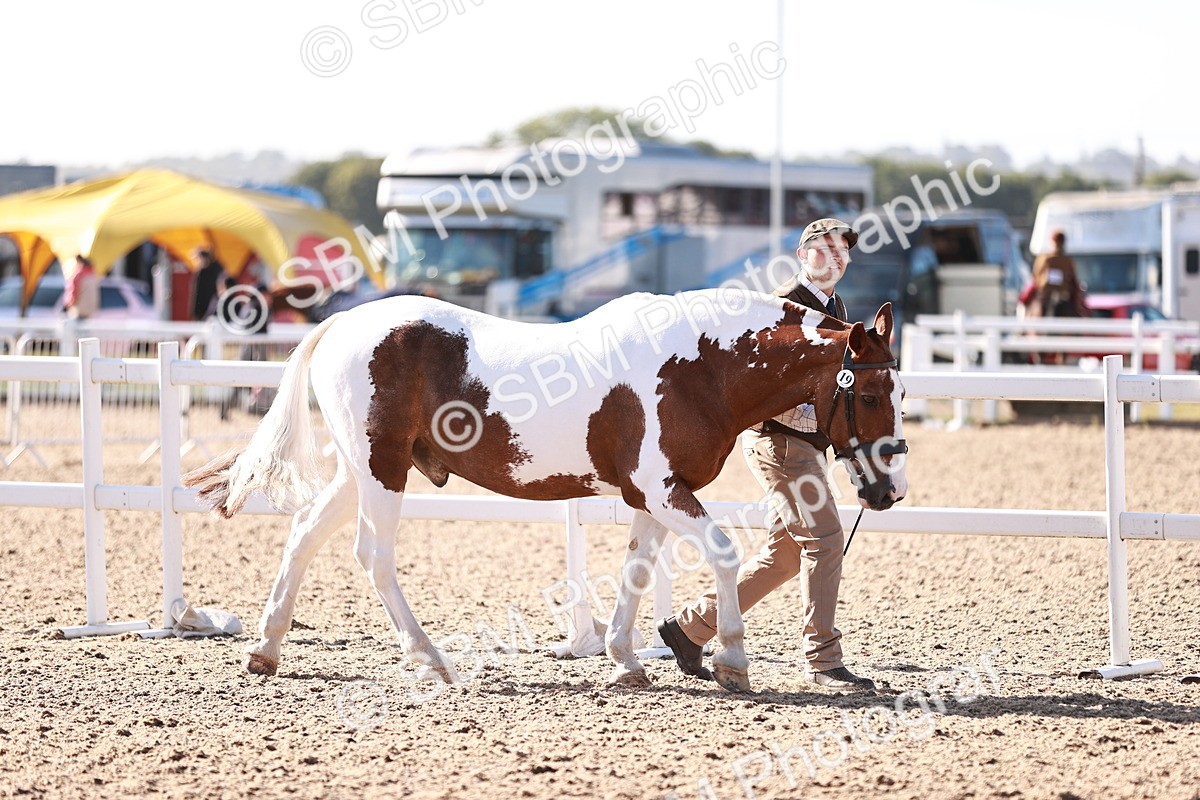 SBM_22054 - Class 703 - IH Coloured