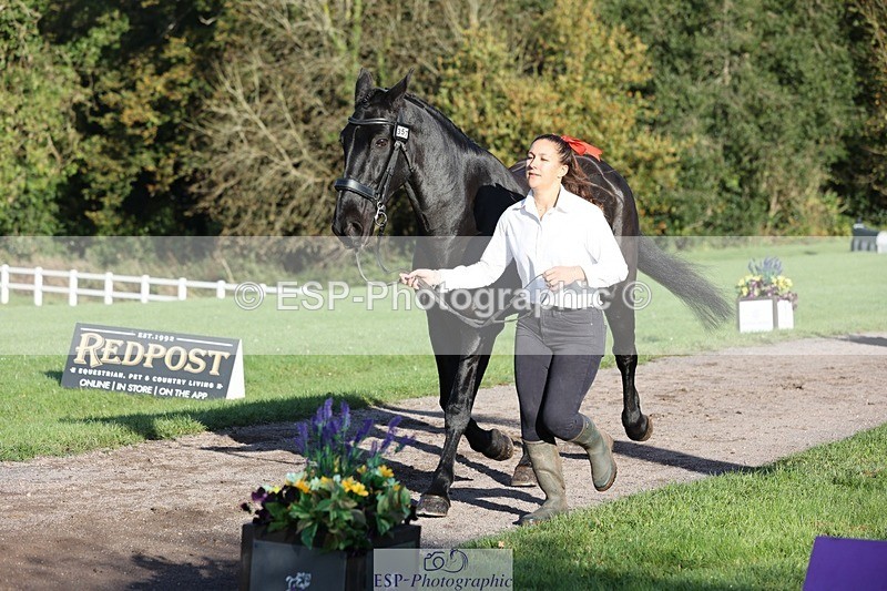 241027-092345-15258 - 357-Eleanor.Newcombe-MR.DARCY