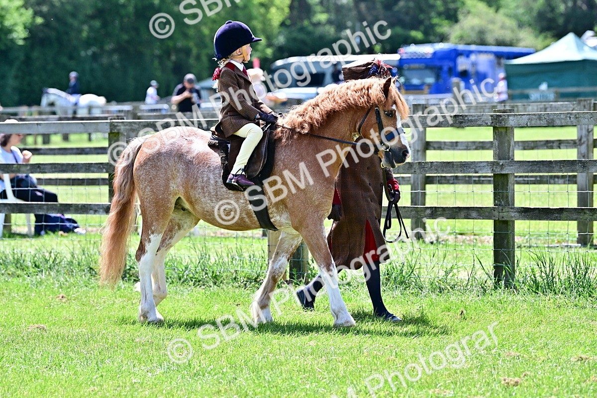 SBM_05740 - Class 59-60 - TSR M&M  Lear Rein and First Ridden Amateur of the year
