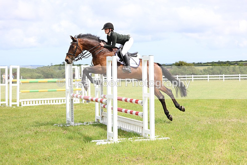 3E7A7508 - Class 13: Senior British Novice/90cm open