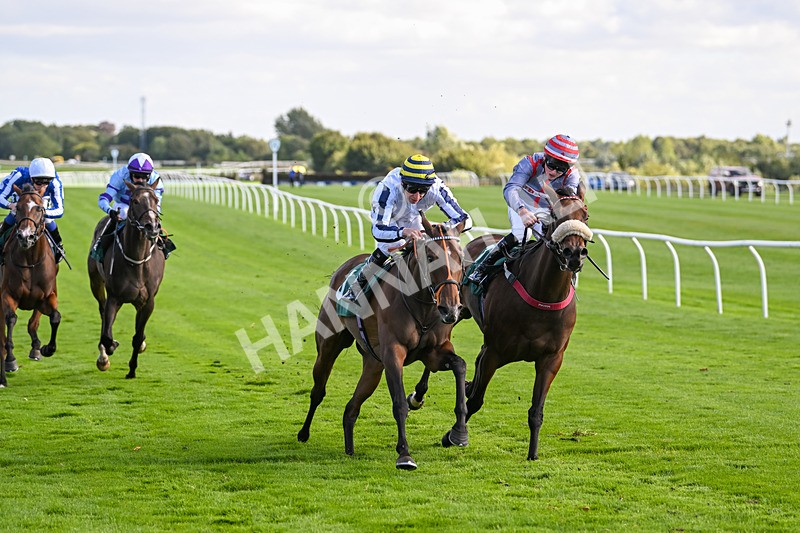 100924-Race 4-Scarboroughwarning-0347 - Race 4