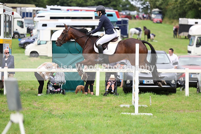 3E7A7259 - Class 5: Senior British Novice/90cm open
