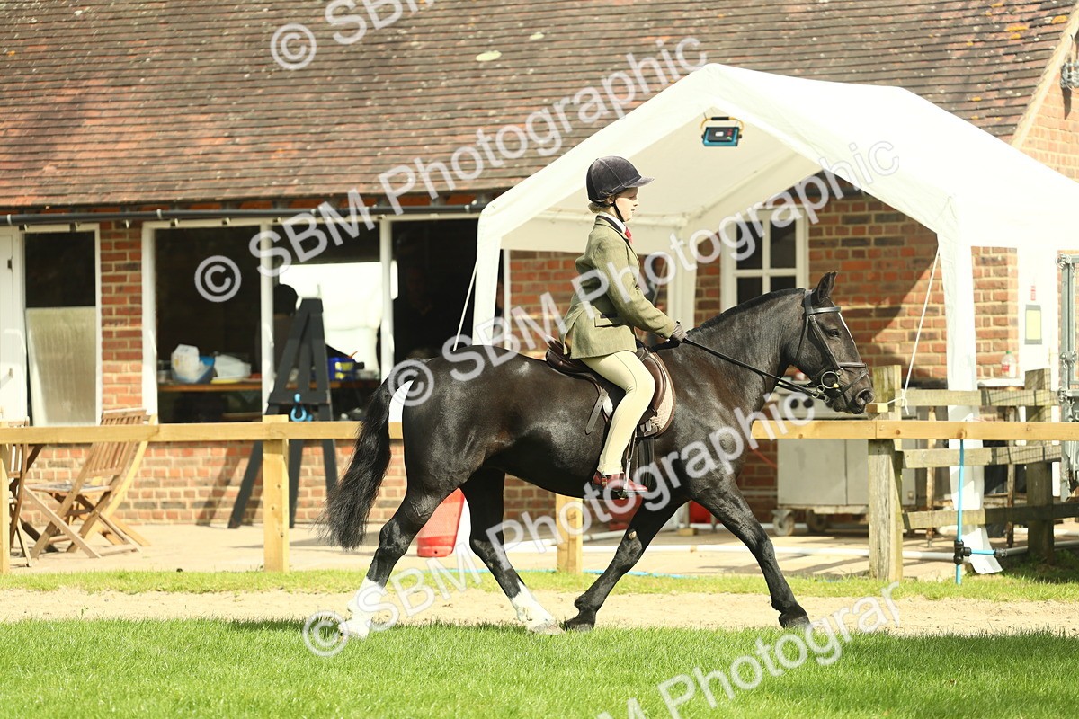 SBM_44905 - Working Hunter Pony Supreme Championship