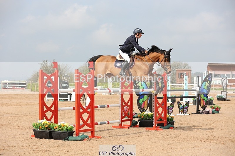 250424-104209-03174 - Cls 33 Young Horse 7yr old
