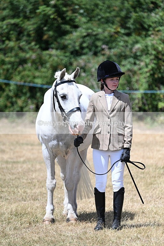 WJ7_2169 - Class 5 Most Handsome Gelding (up to 14.2hh) in hand