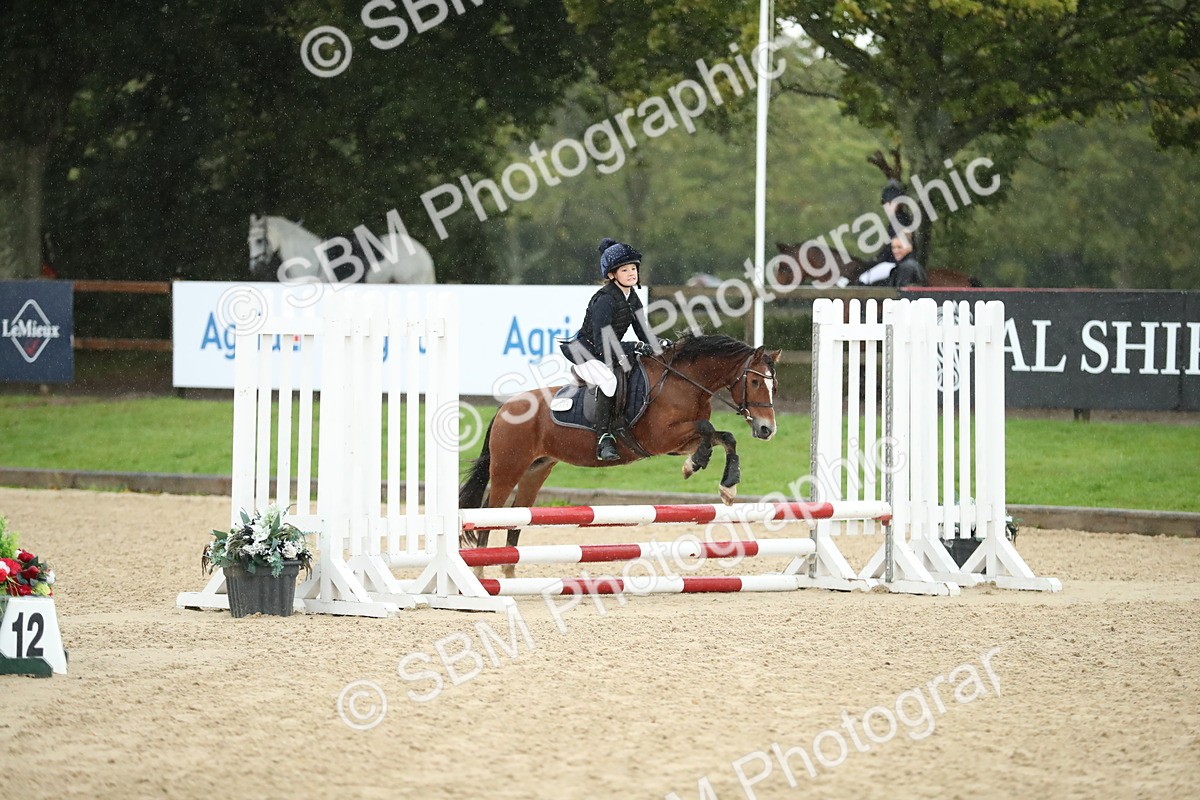 SBM_34333 - J60 Clear Round 50cm