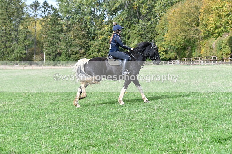 WJ5_9436 - Time 13:03 to 13:25