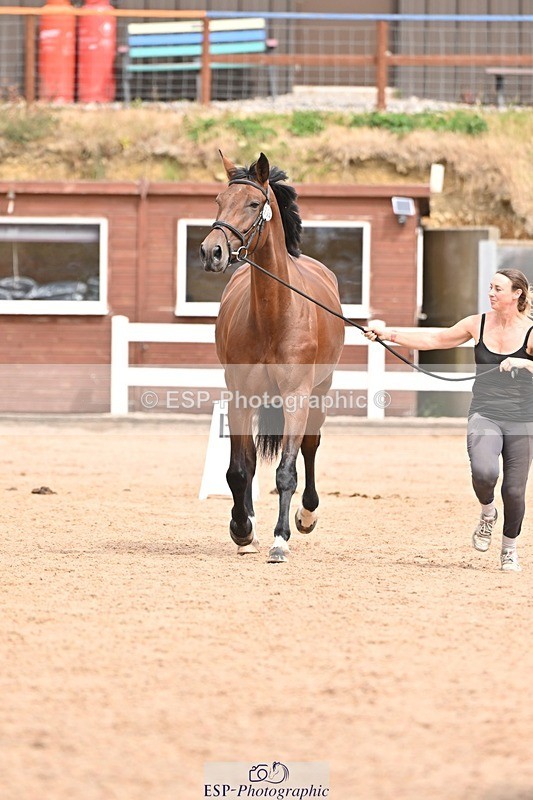 250716-154023-02101 - Trot Up 3.30 to 4.30