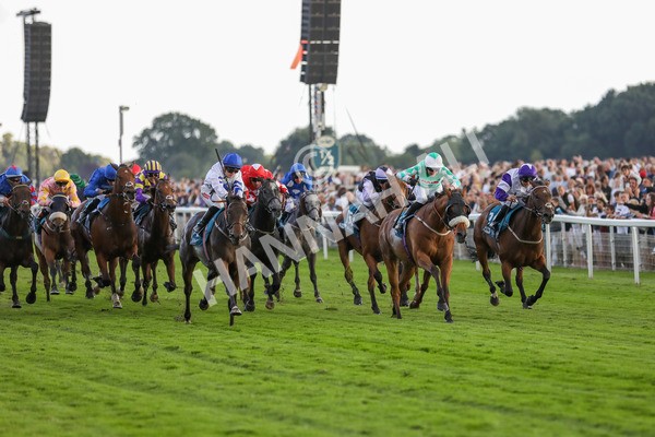 260724-Race 4-Dicko The Legend-4102 - Race 4 7.15pm Tomahawk Restaurants Handicap