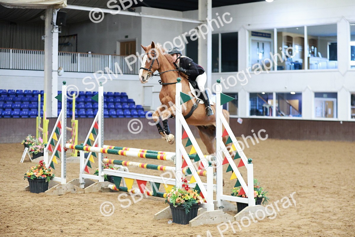SBM_003171 - Class 9 - Senior British Novice - 90cm