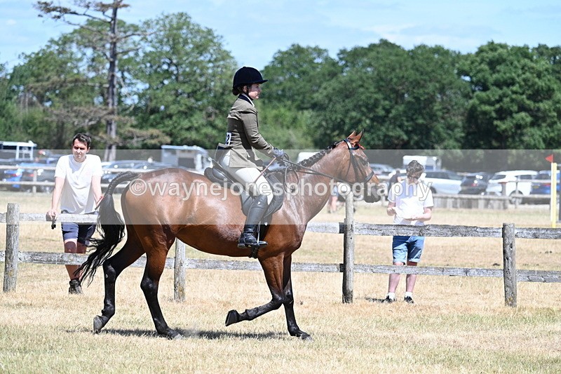 WJ7_2849 - Class 7 Riding Club Show Horse