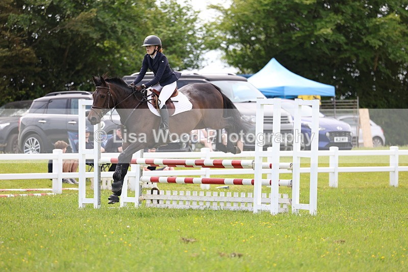 3E7A1575 - Class 13: Senior British Novice/90cm open